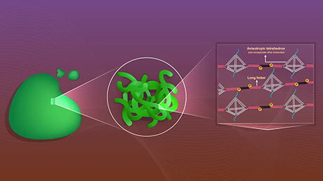 Designing DNA nanostructures to create deformable and controllable biomolecular condensates