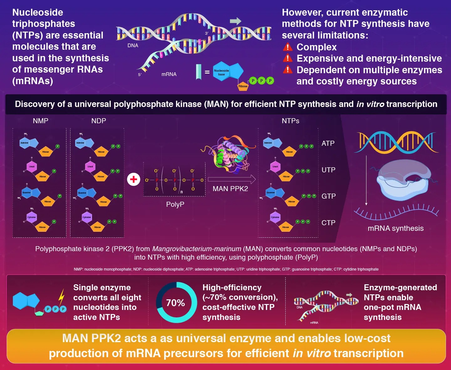 A universal polyphosphate kinase powers in vitro transcription