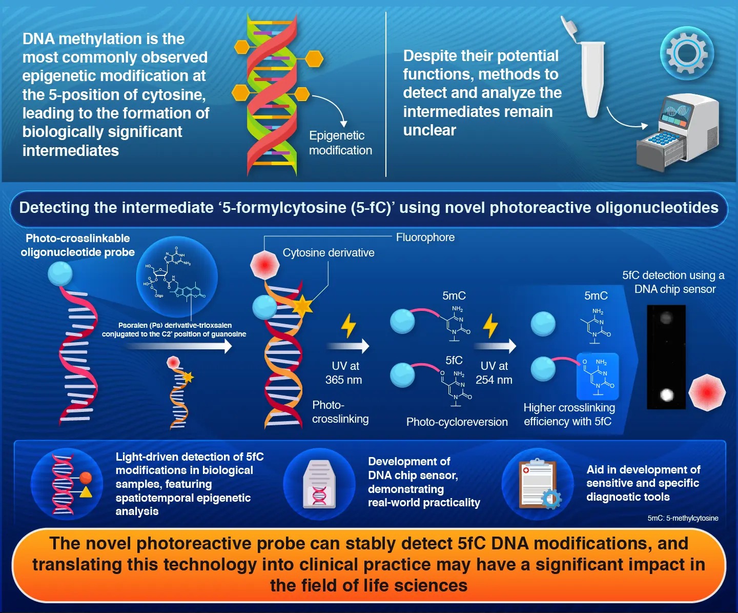 Detection of Epigenetically Important 5-Formylcytosine Modifications Using Novel Photoreactive Oligonucleotides Containing a Trioxsalen-Conjugated Guanosine