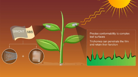 Towards smarter agriculture: Durable nanofilm electrodes for monitoring leaf health