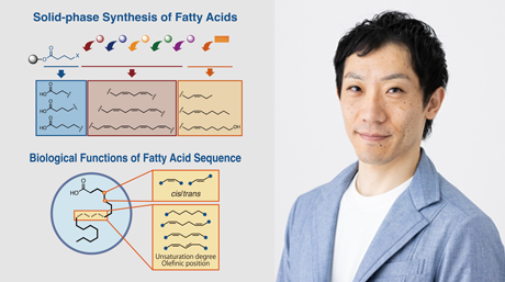 【Labs spotlight】Saito Laboratory