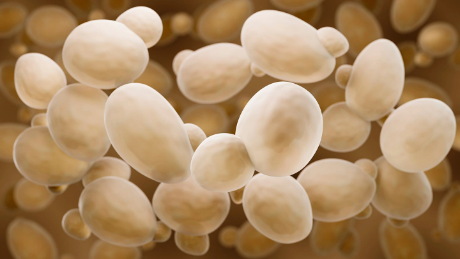 How changing environments can preserve an ancient microbial survival strategy