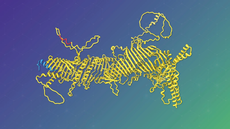 Elucidating the underlying mechanism of Atg2-mediated lipid transfer in autophagy