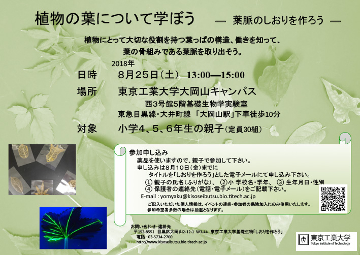 科学教室「植物の葉について学ぼう ―葉脈のしおりを作ろう―」 ポスター
