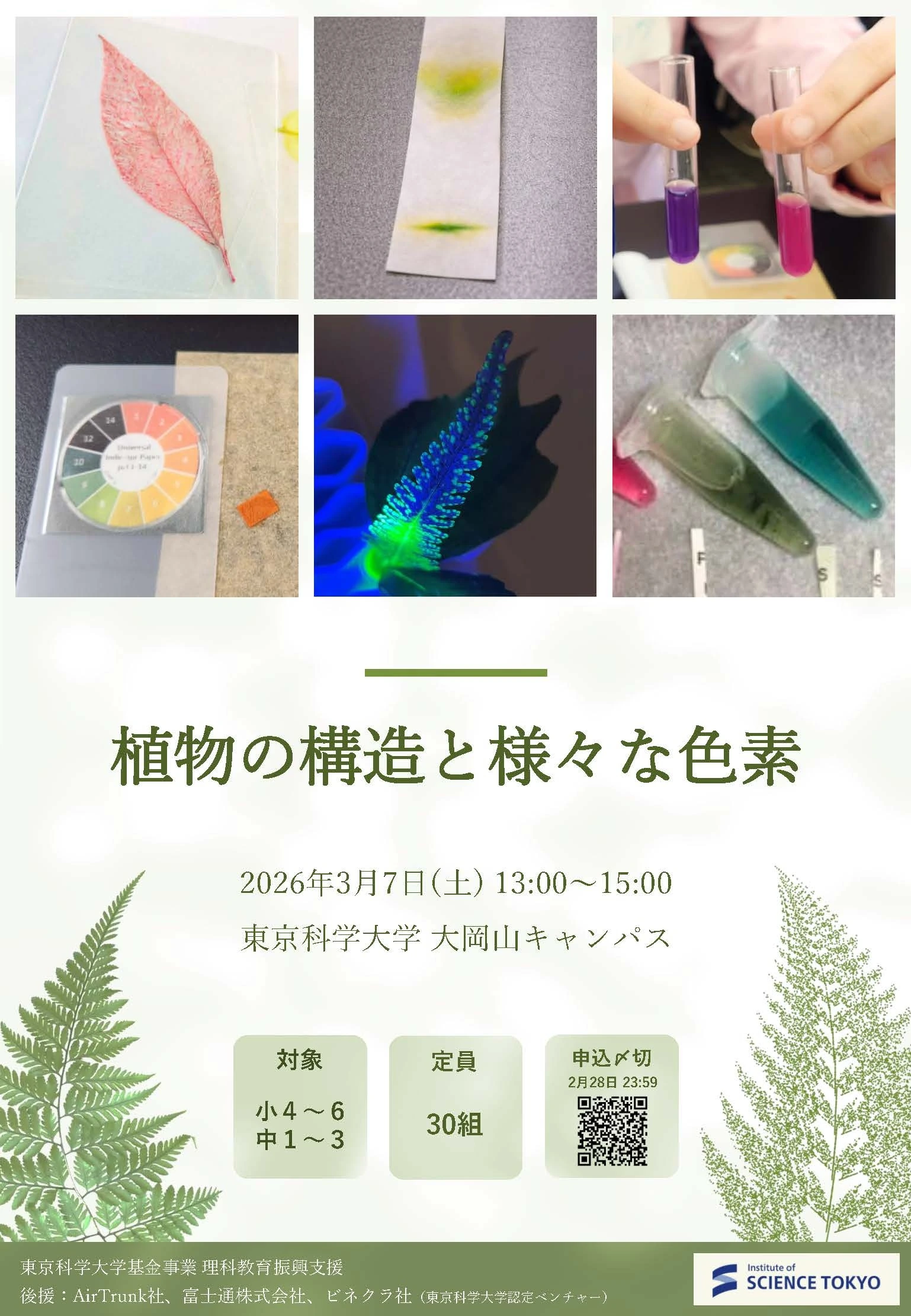 科学教室「植物の構造と様々な色素」フライヤー