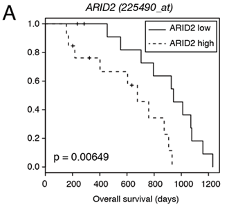 A：多発性骨髄腫患者のARID2高発現群と低発現群の生存解析（n=55）。ARID2高発現群では生存期間が短い。 