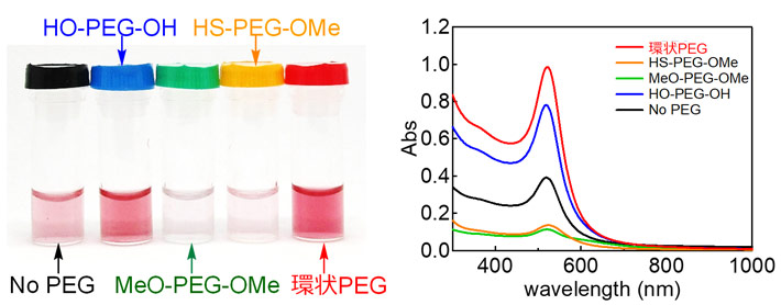 種々のポリエチレングリコール（PEG）により修飾した金ナノ粒子の加熱実験。環状PEGを使用すると金ナノ粒子が分散安定化され、その特徴である赤色が最も強く残存した。右図では各種PEGを使用した場合の色の濃さを定量的に示した。