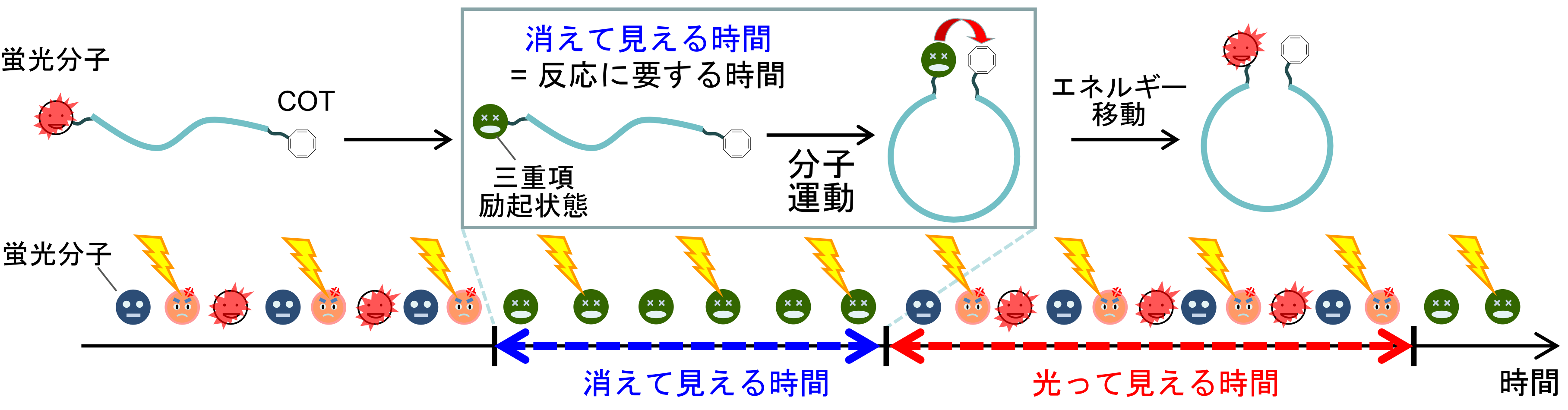 図1：蛍光blinking観測による三重項－三重項エネルギー移動速度の測定。
