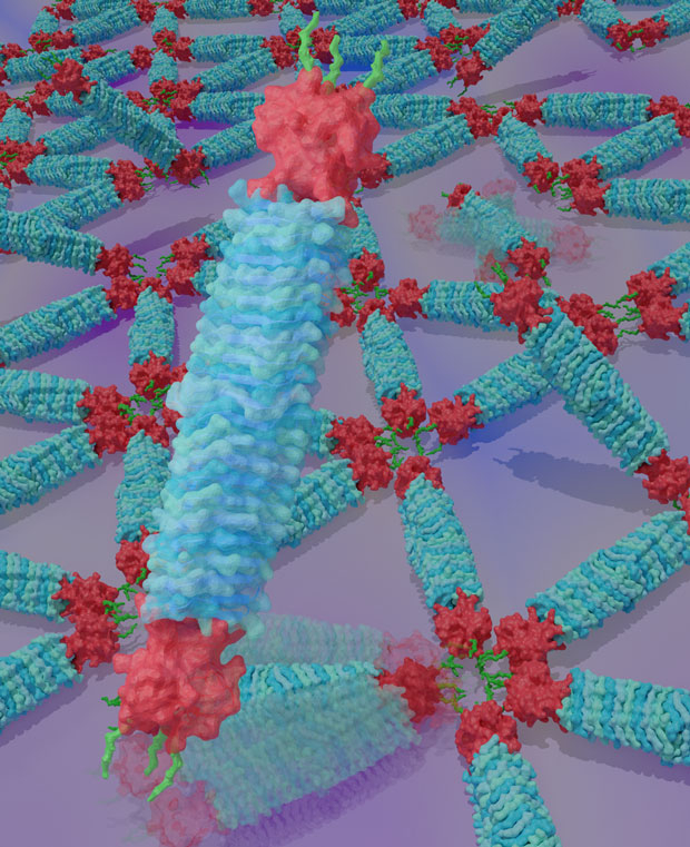 プログラムされた分子による自発的なナノ模様形成のイメージ図