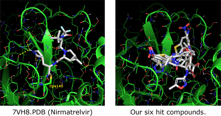 図2. 3CLプロテアーゼ阻害剤の結合様式。左：ニルマトレルビル 右：本研究で発見した6つのヒット化合物のドッキングによる予測結合様式の重ね合わせ