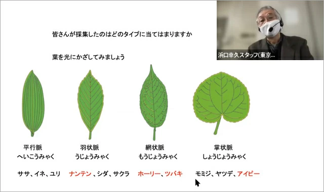 Hamaguchi lecturing about venation patterns in leaves