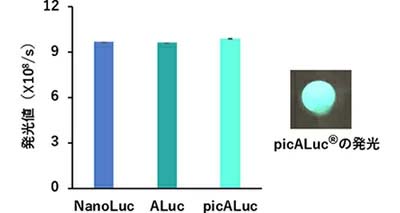  既存の発光酵素とpicALuc®の発光値の比較。picALuc®の発光値は世界最高レベルである。