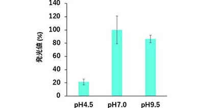 pHに対するpicALuc®の発光値の変化。塩基性条件におけるpicALuc®の安定性は高い。