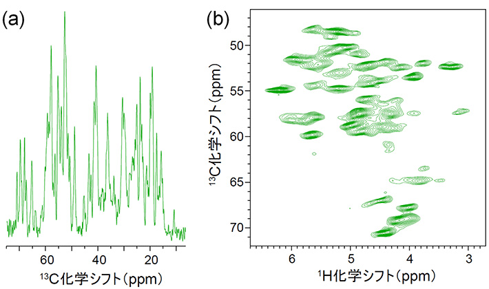 超1GHzコンパクトNMR装置で取得したタンパク質固体試料のNMRスペクトルの例
