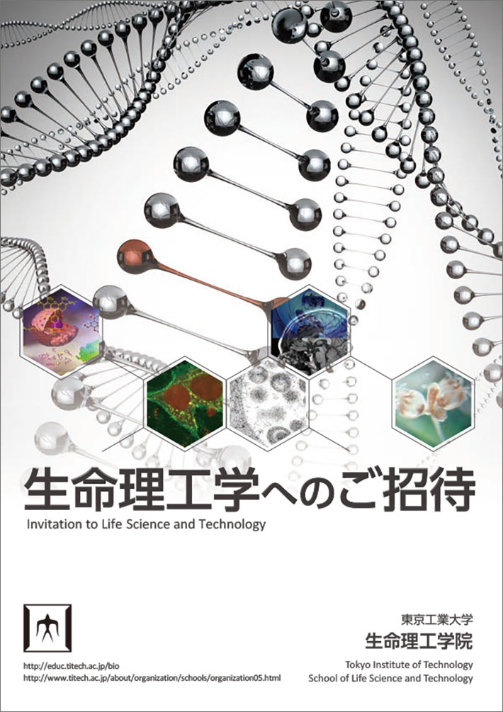 生命理工学院パンフレット「生命理工学へのご招待」表紙