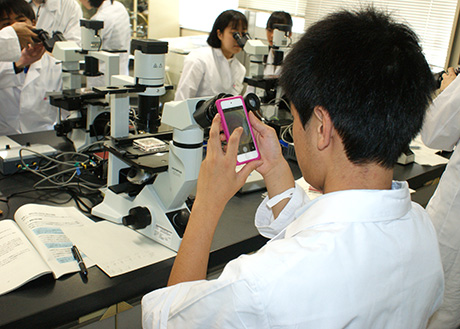 顕微鏡の細胞をスマートフォンで撮影中