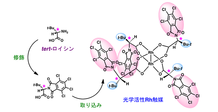 アミノ酸を利用する触媒的不斉合成法の開発2