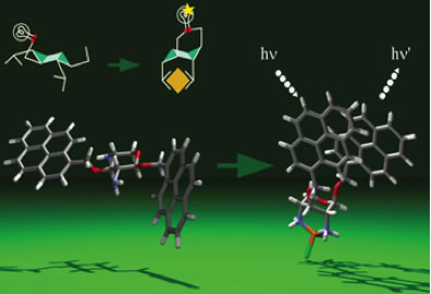 蝶番糖のフリップを応用した分子デバイスの開発