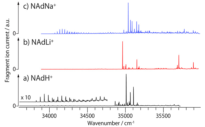 ノルアドレナリンのプロトン付加体及びアルカリ金属イオン錯体のUVPDスペクトル