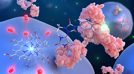 ナノ空間で制御可能なヒスチジン残基化学修飾を開発