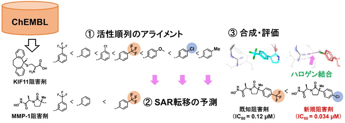 図1 SAR 転移による新規阻害剤の設計 