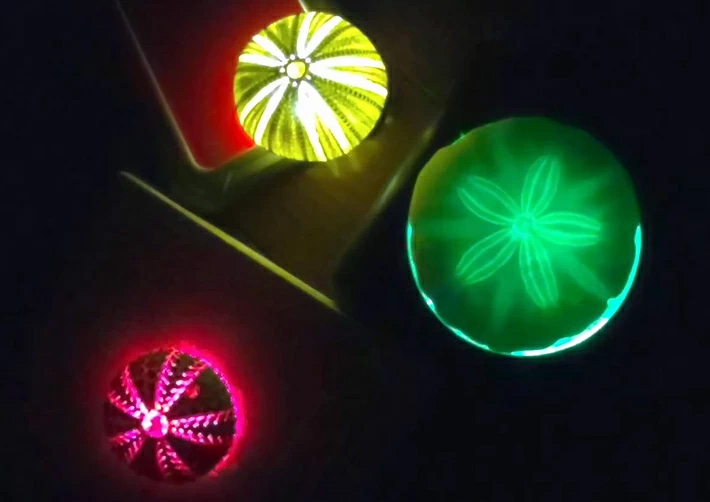 3種のライトを使用したウニランプ（参加者提供写真）