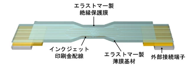 図1 エラストマー製薄膜とインクジェット印刷金配線からなる薄膜状硬膜下電極の構成 