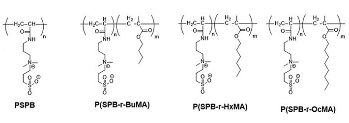 図1 各種合成した双性イオンポリマー スルホベタインポリマー（PSPB）にブチルメタクリレート（BuMA）、ヘキシルメタクリレート（HxMA）、オクチルメタクリレート（OcMA）を共重合したポリマーの構造を示す。