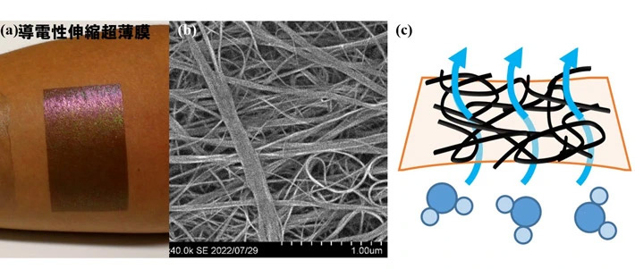 図1 (a) 皮膚上に貼付した導電性伸縮超薄膜の外観写真と (b) SWCNT繊維状ネットワークの顕微鏡観察画像、(c) 透湿性の概念図 
