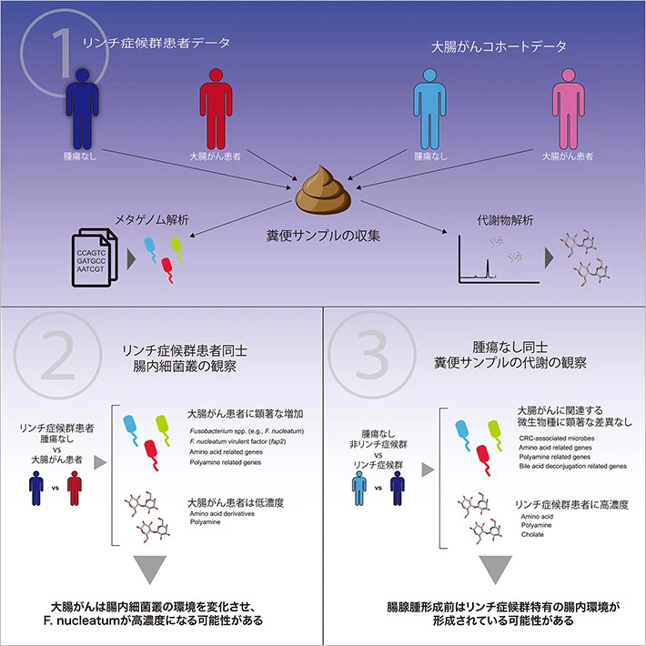 図1 研究プロセスの概要 