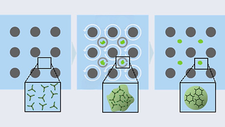均一サイズの生体分子凝集体の生成・集積制御を実現