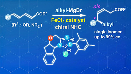 鉄触媒で遠隔位置の炭素–炭素結合形成を精密制御