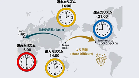 経口投与で体内時計を「進める」新化合物を発見