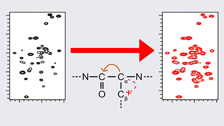 固体NMRにおける高効率13C–13Cスピン分極移動法の開発