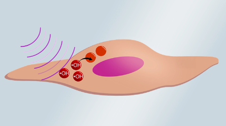 リチウムナイオベート振動子を用いて高周波の超音波を照射することにより細胞内に活性酸素種を産生