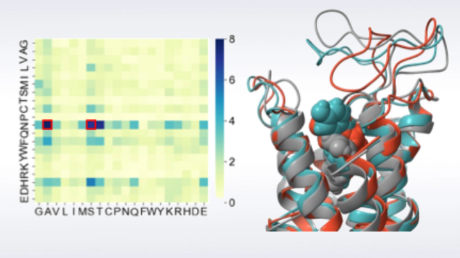 細胞を使うことなく受容体膜タンパク質の人工進化に成功