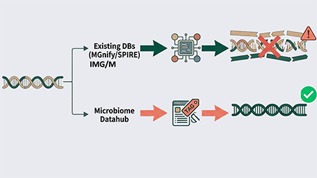 メタゲノム由来ゲノムを収集・整理した統合データベース「Microbiome Datahub」を開発