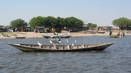 タンザニア・ビクトリア湖の水産資源管理プロジェクトがSATREPSに採択