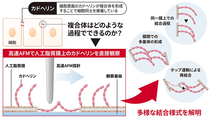 概要図
