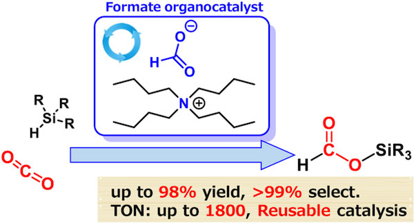 Formate-catalyzed reduction of CO2 to formate products