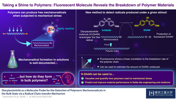 Taking a Shine to Polymers: Fluorescent Molecule Betrays the Breakdown of Polymer Materials