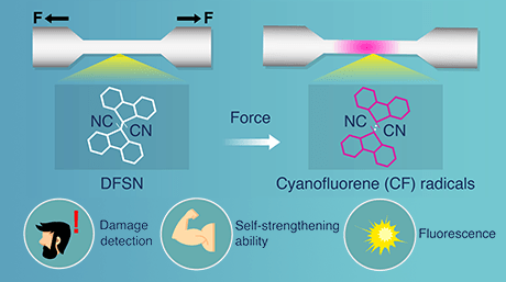A Show of Force: Novel Polymer that Toughens Up and Changes Color Upon Mechanical Stress