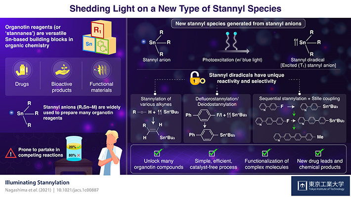 Shedding Light on a New Type of Stannyl Species