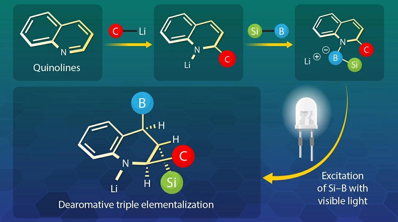 New Horizons for Organoboron and Organosilicon Chemistry with Triple Elementalization