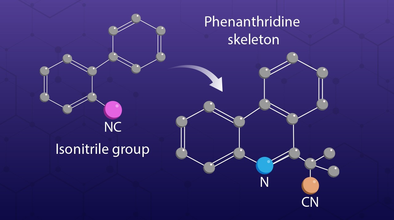 Towards Synthesis of Phenanthridine-Based Pharmaceutical Compounds