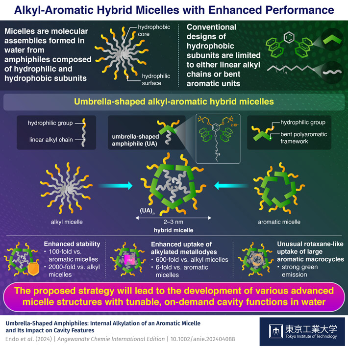 Alkyl-Aromatic Hybrid Micelles with Enhanced Performance