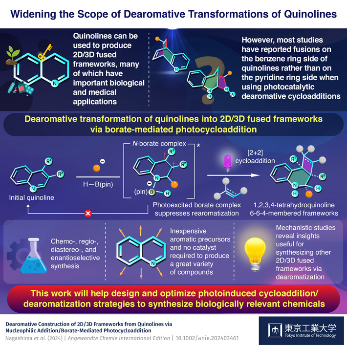 Widening the Scope of Dearomative Transformations of Quinolines