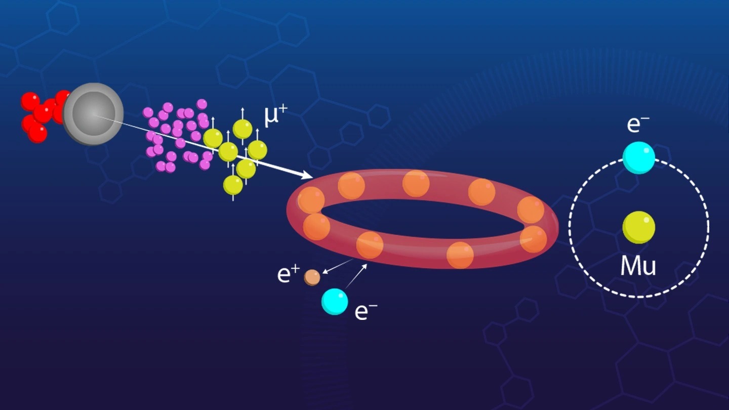 New Insights on Radical Trapping in 12-Phosphatetraphene Uncovered!