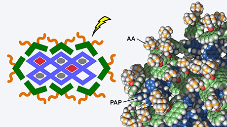 How to Create Aqueous 100 nm-Sized Materials with Polycavities