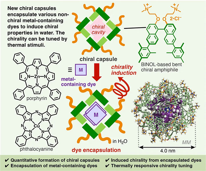 Chiral Aromatic Micelles as Chiroptical Host Tools for Large Metallodyes in Water